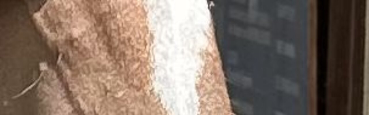 Profilbanner von Frank Weißkirchen