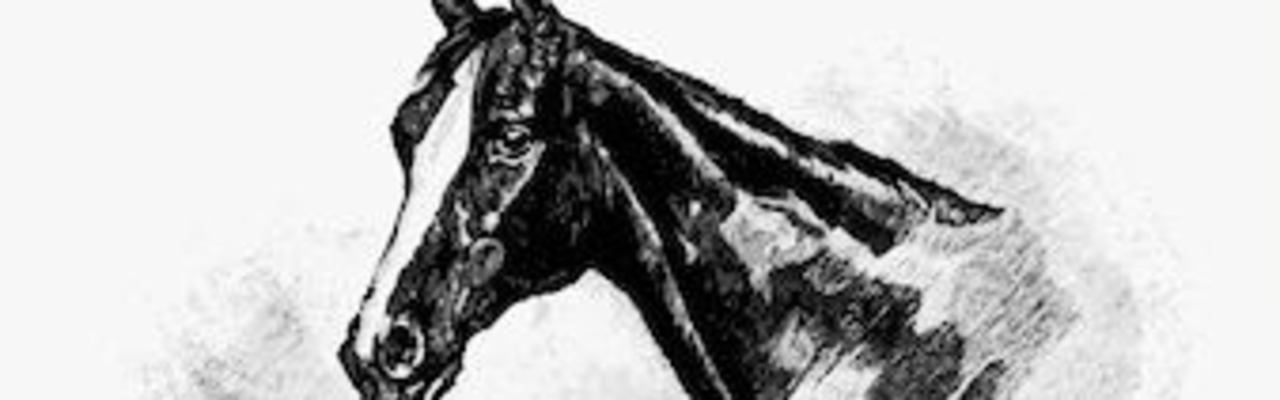 Profilbanner von Bärbel Neumann