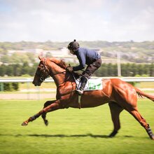 © Arqana