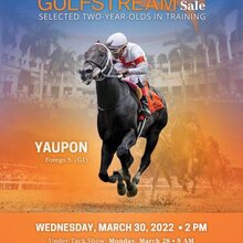 © Fasig Tipton