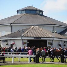 Profilbild von T2 | © TATTERSALLS IRELAND