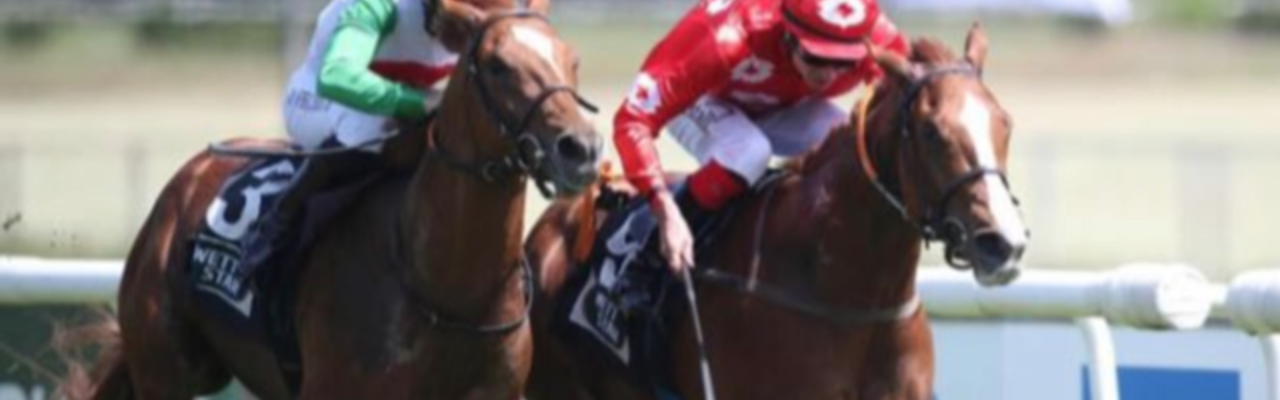 Profilbanner von Markus Kinkel
