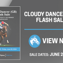 Photo de profil de FS | © Fasig-Tipton Digital