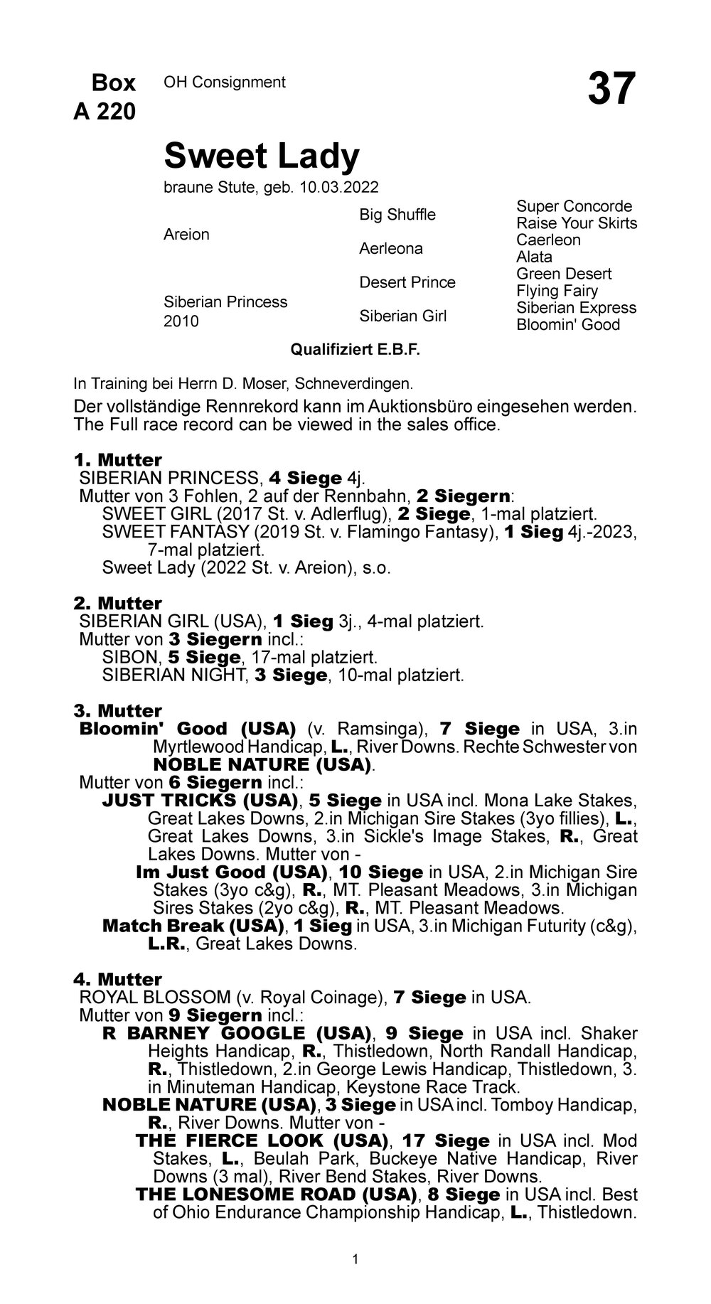 Pedigree pour Sweet Lady (GER), 2022