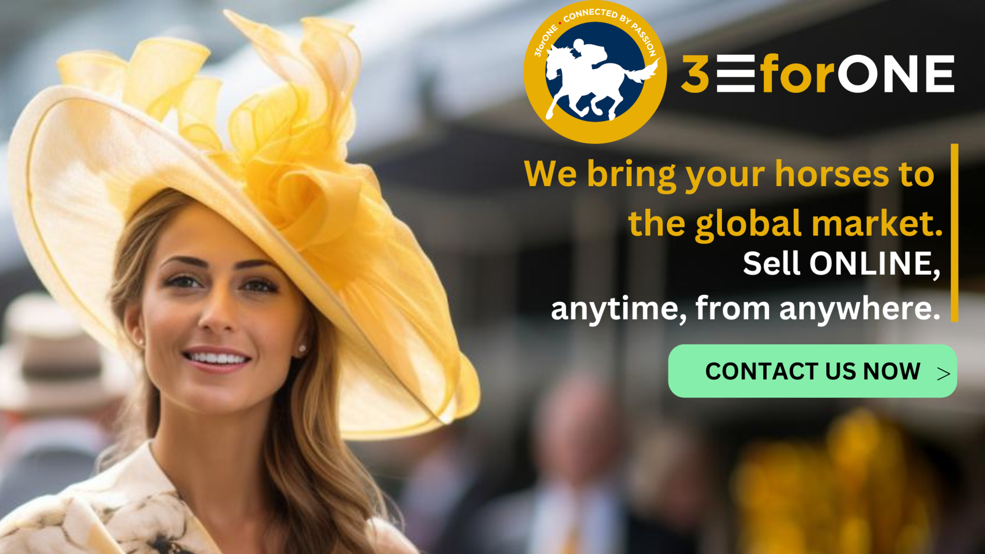 Background image for International Online Horse Auctions with 3forONE: Revolutionize Your Horse Sales!