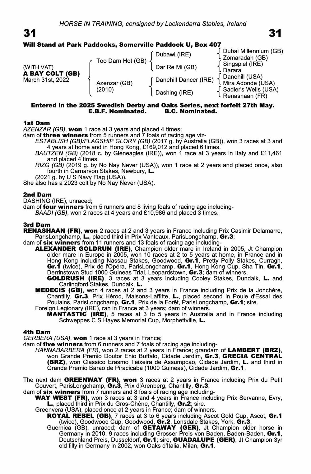 Pedigree pour Hotazhell (GBR), 2022 | © Tattersalls