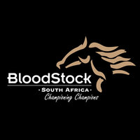 © Bloodstock South Africa