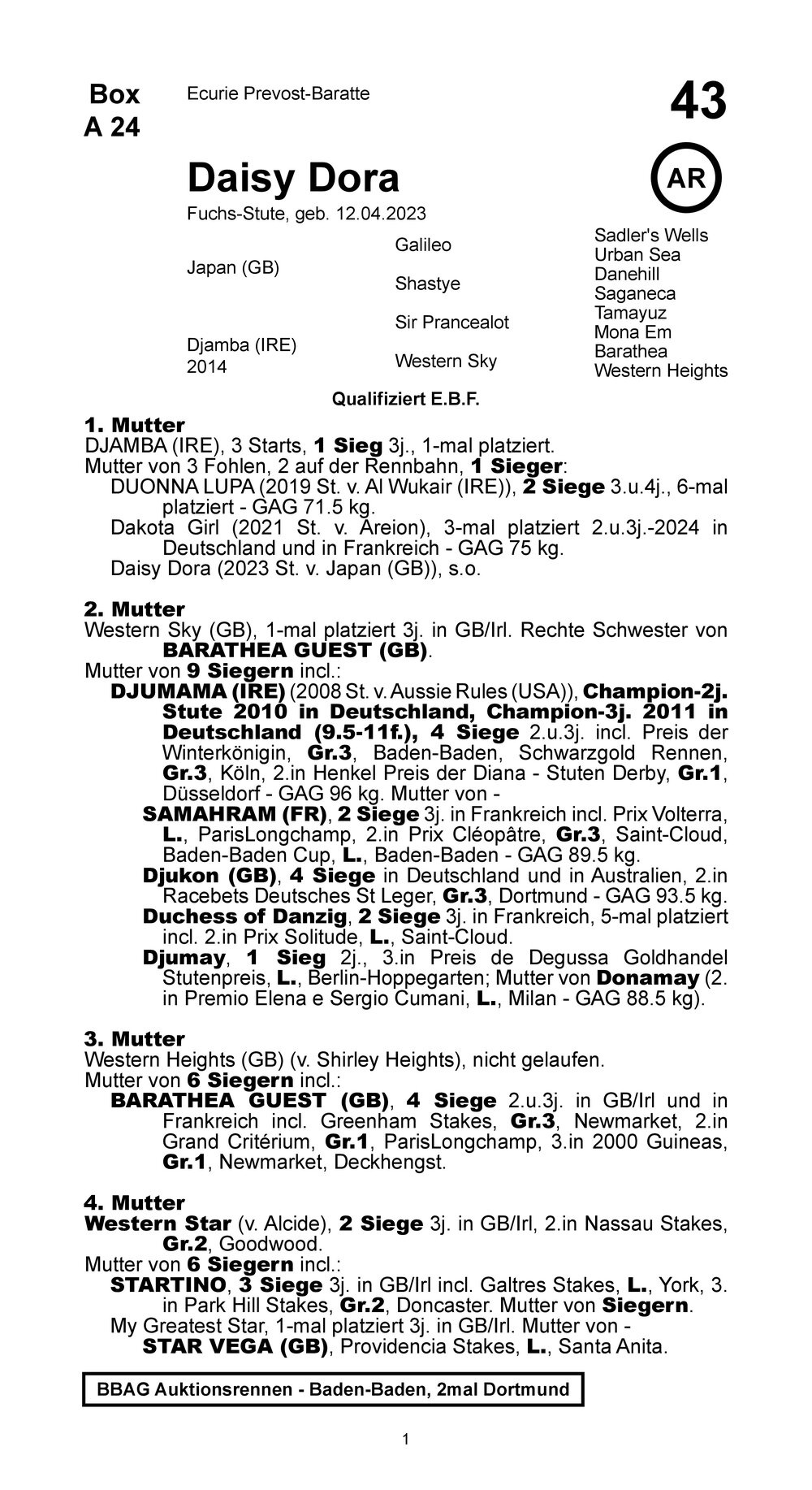 Pedigree pour DAISY DORA (GER), 2023