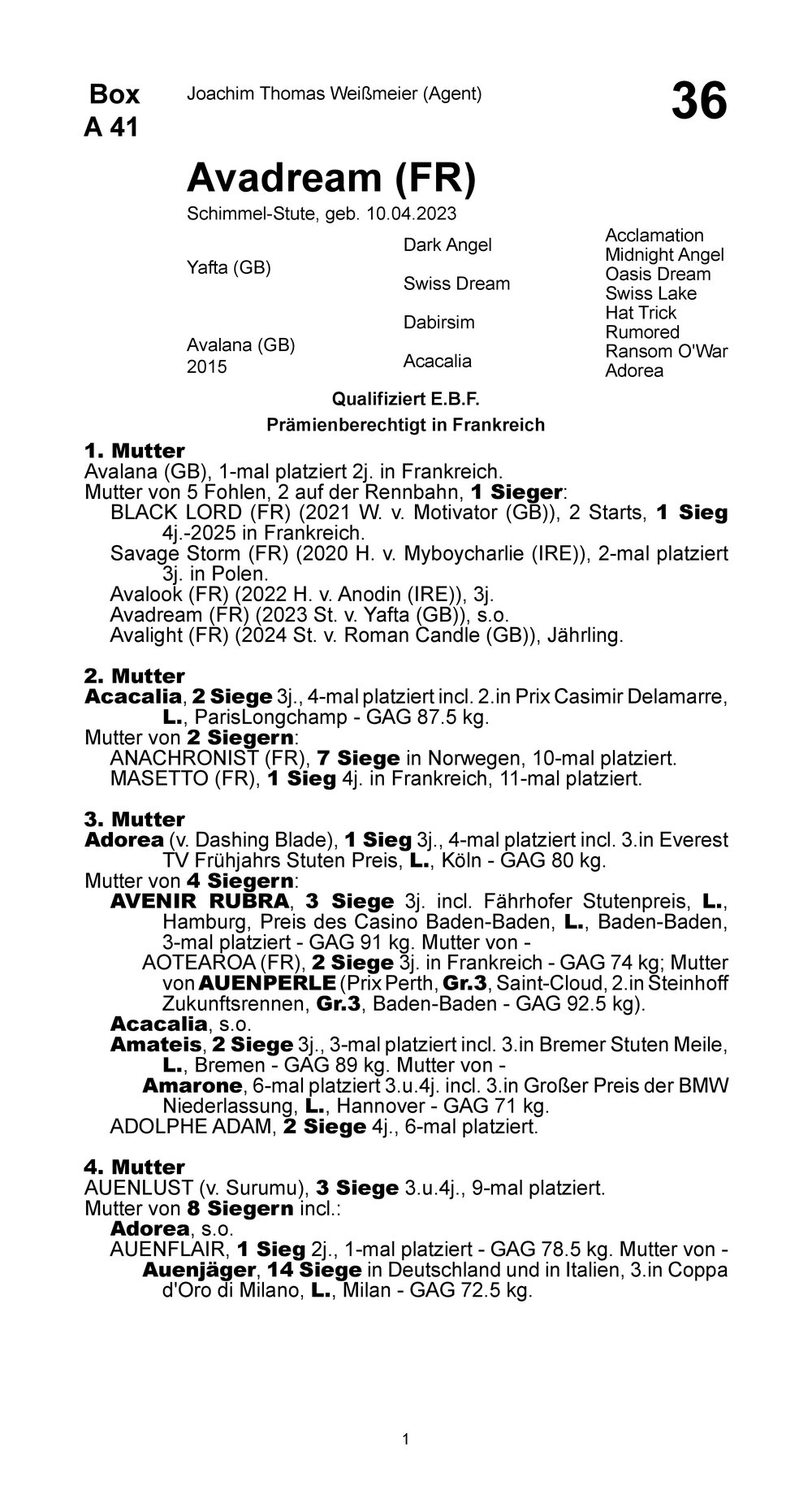 Pedigree for Avadream (FRA), 2023