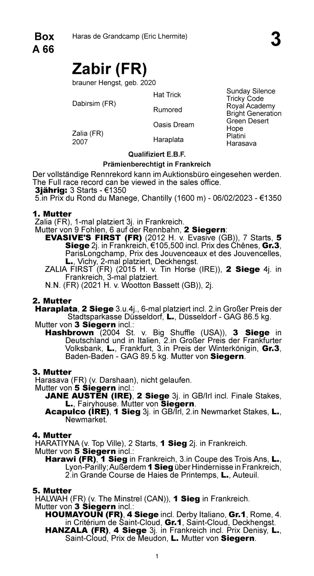 Pedigree pour Zabir (FRA), 2020