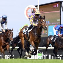 29.05.2025, Iffezheim, Baden-Wuerttemberg, GER - Short Final mit Ioritz Mendizabal gewinnt die Badener Meile. Galopprennbahn Baden-Baden, Iffezheim.  | © Jim Clark / Galoppfoto.de