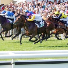 31.05.2025, Iffezheim, Baden-Wuerttemberg, GER - Juwelier mit Adrie de Vries gewinnt das Derby-Trial. Galopprennbahn Baden-Baden, Iffezheim.  | © Sabrina Doll / Galoppfoto.de