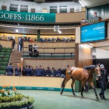 Figures Soar At Strong Part 2 Of Goffs Arkle Sale | © Goffs