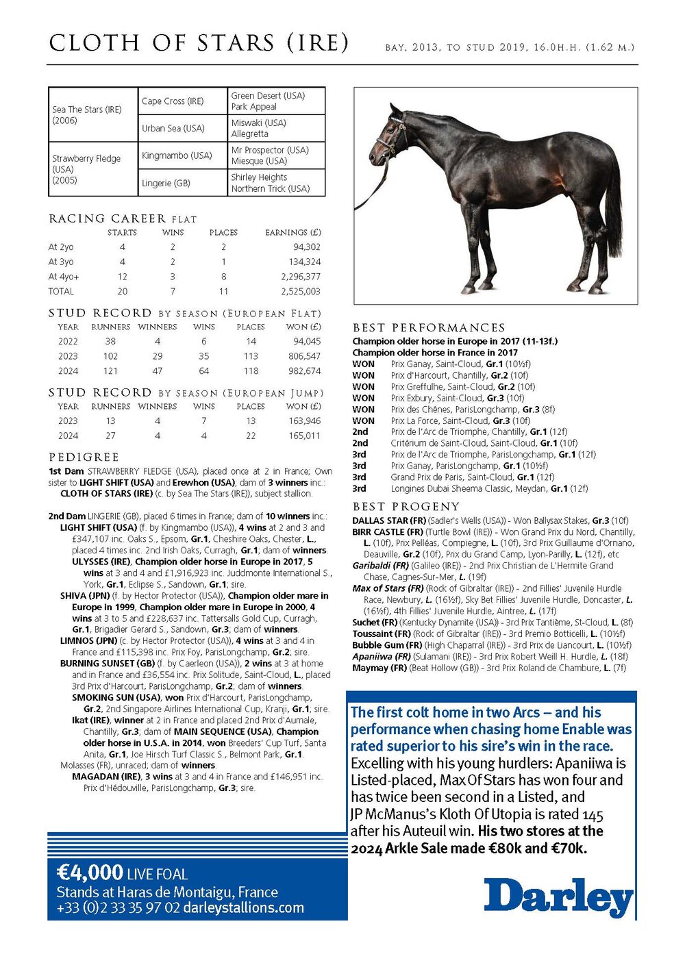 Pedigree for Cloth of Stars (IRL), 2013