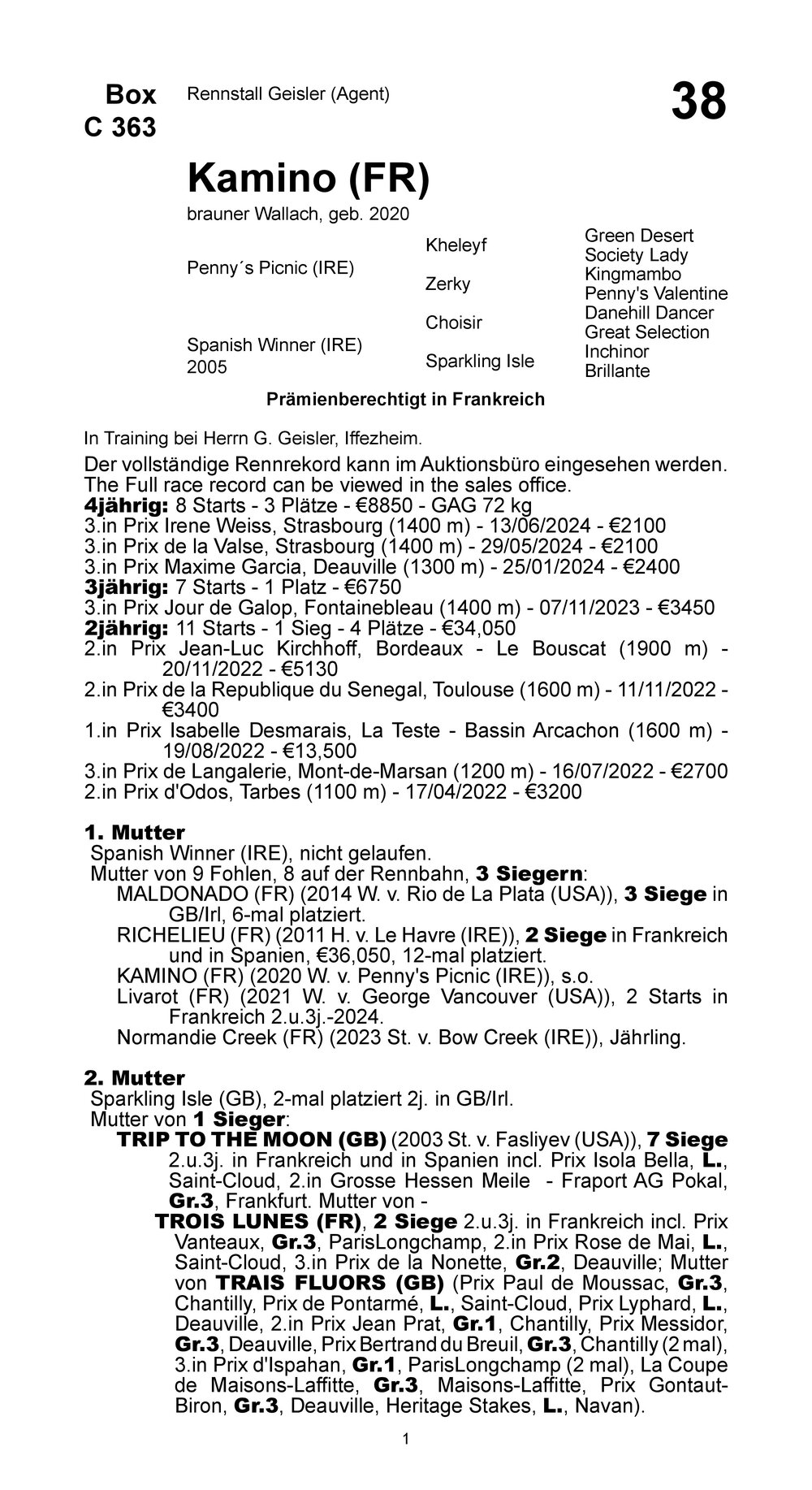 Pedigree for Kamino (FRA), 2020