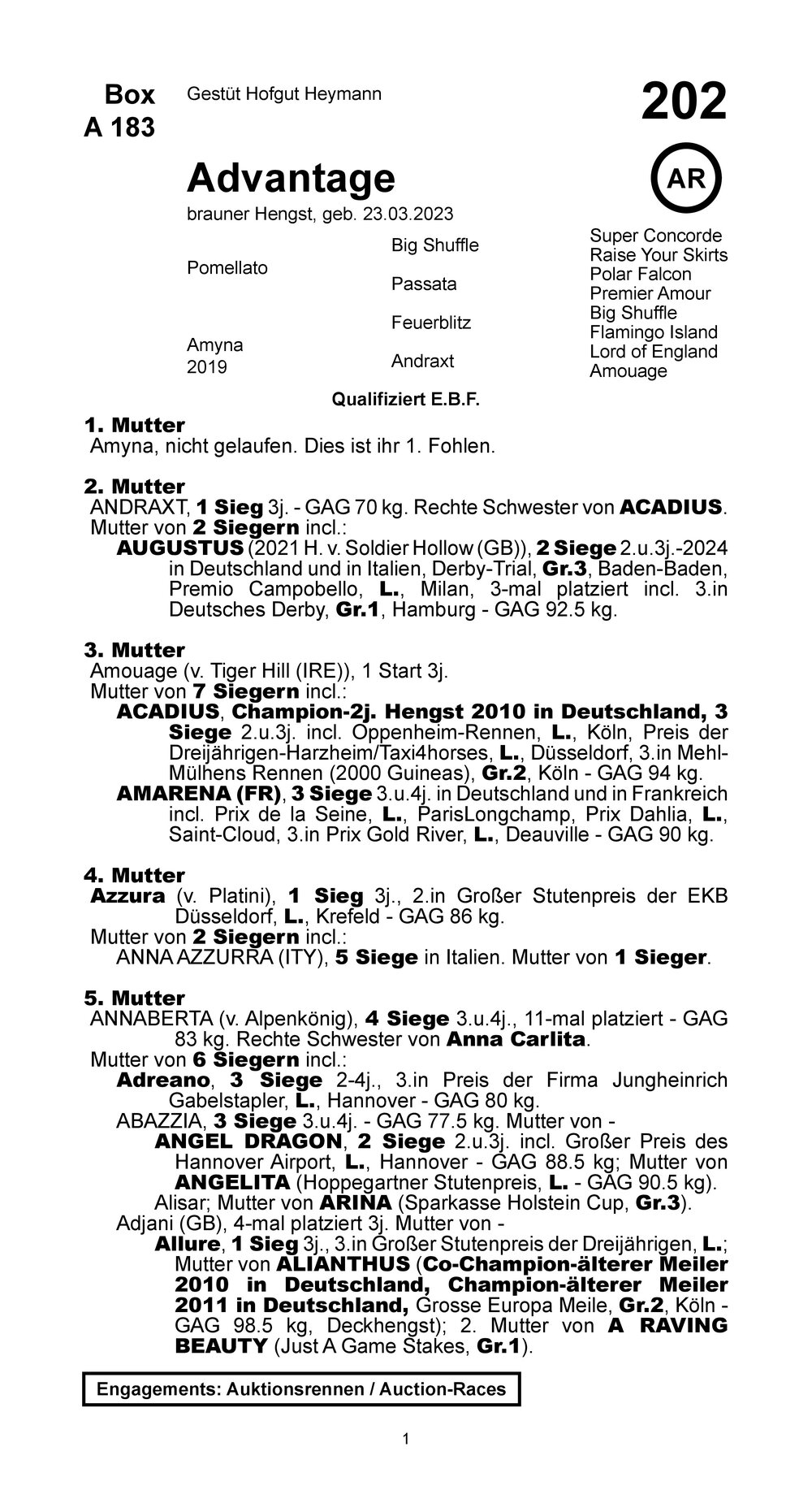 Pedigree pour Advantage (GER), 2023