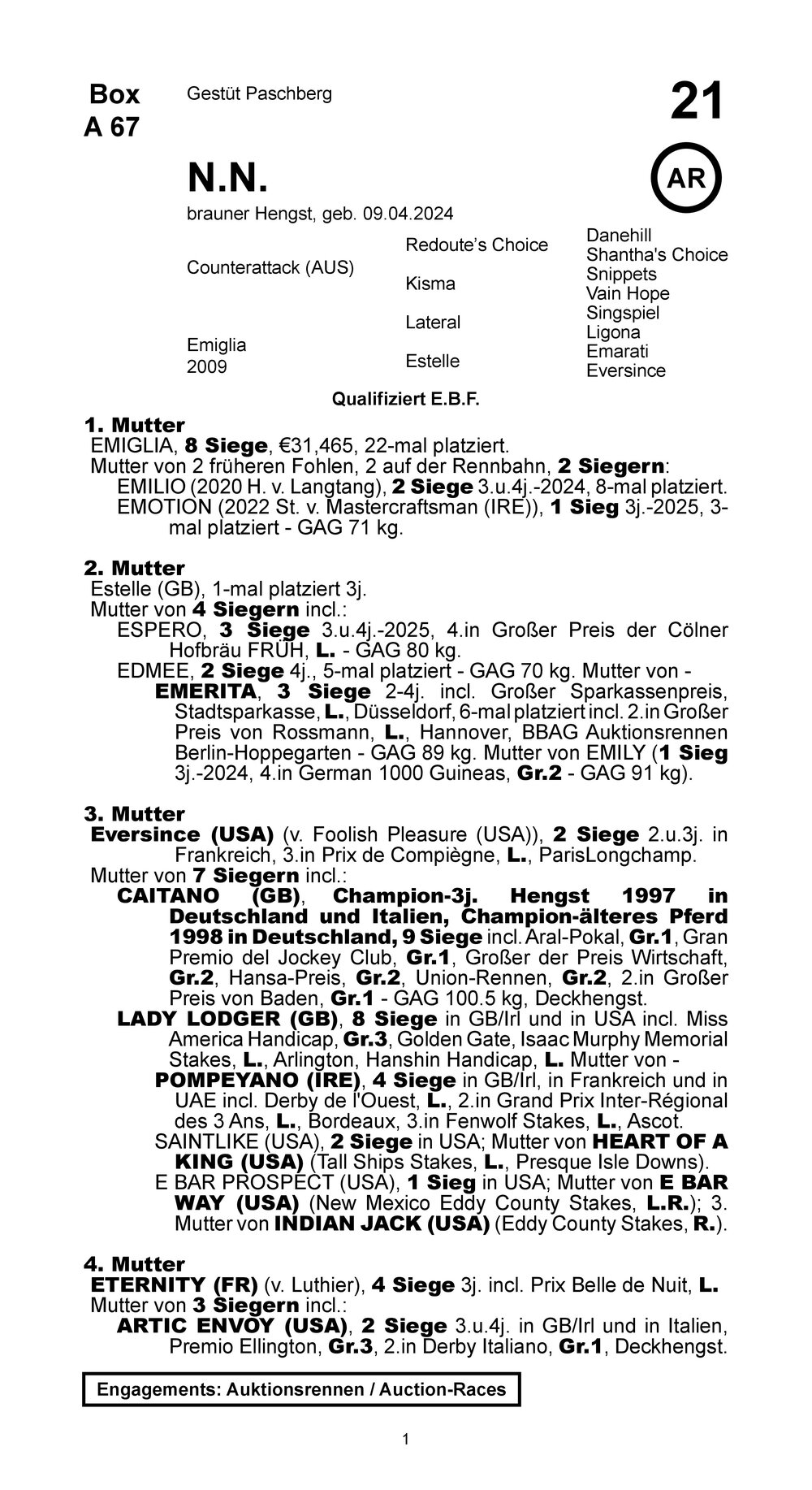 Pedigree pour Counterattack (AUS) x Emiglia (GER), 2024