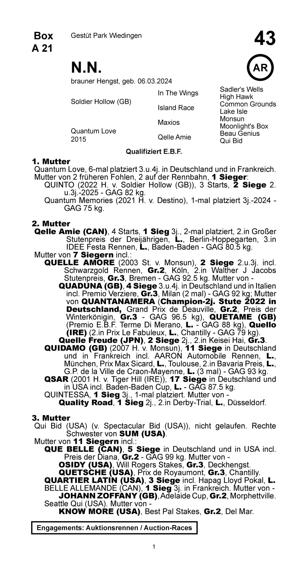 Pedigree for Soldier Hollow (GB) x Quantum Love (GER), 2024