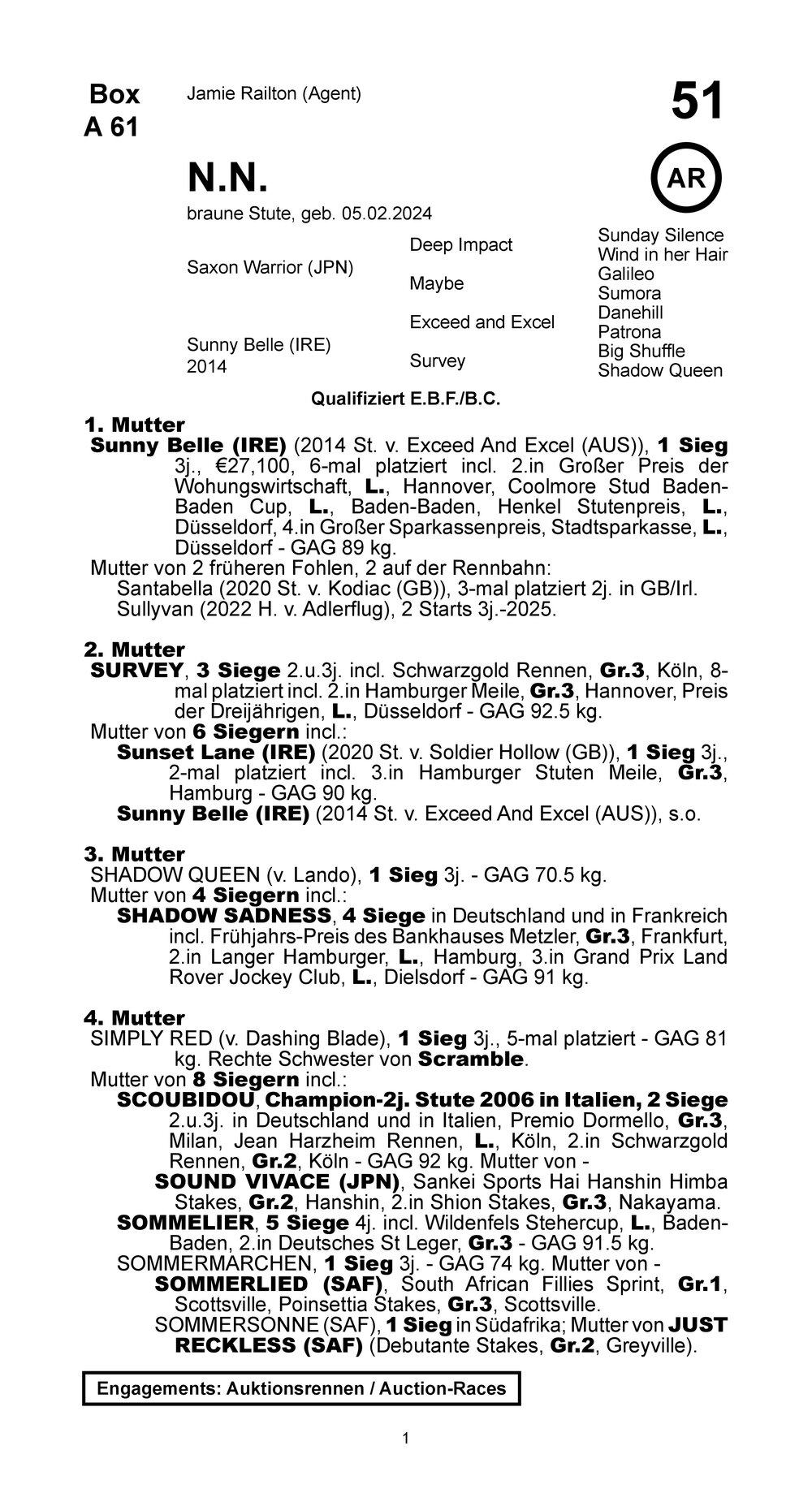 Stammbaum für Saxon Warrior (JPN) x Sunny Belle (IRE) (GER), 2024