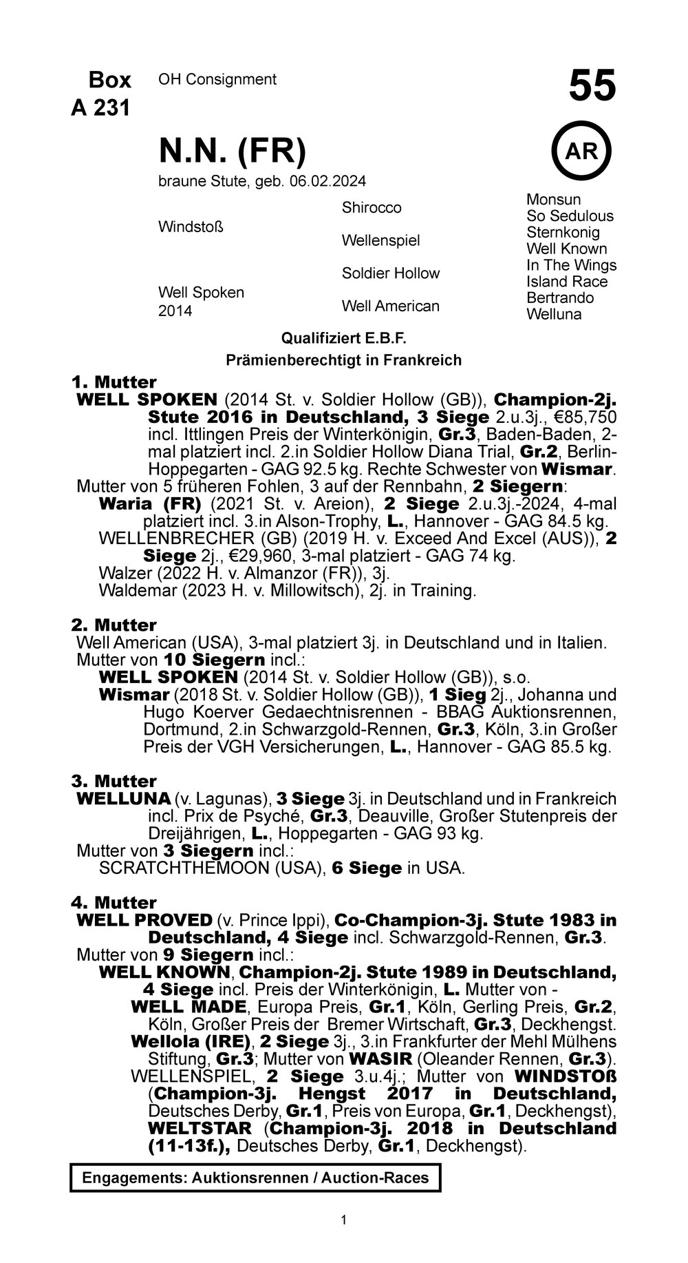 Pedigree pour Windstoß x Well Spoken (FRA), 2024