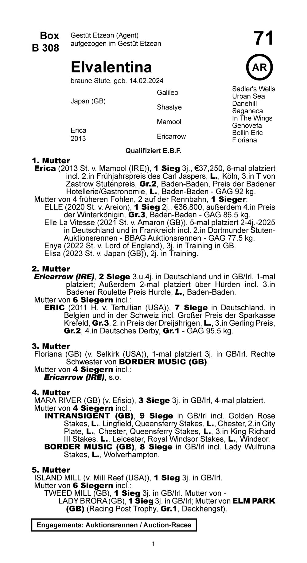 Pedigree pour Elvalentina (GER), 2024
