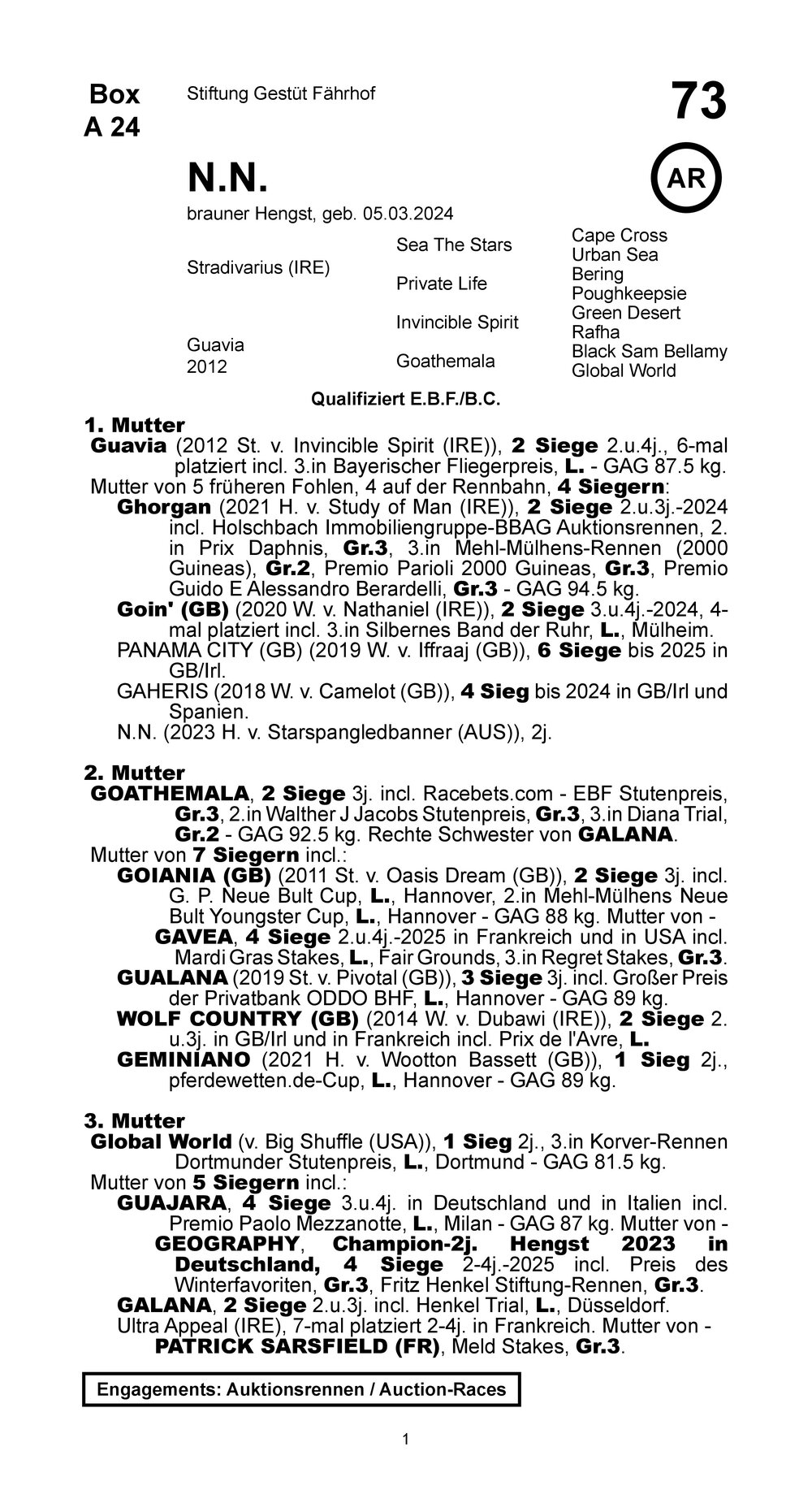 Pedigree pour Stradivarius (IRE) x Guavia (GER), 2024