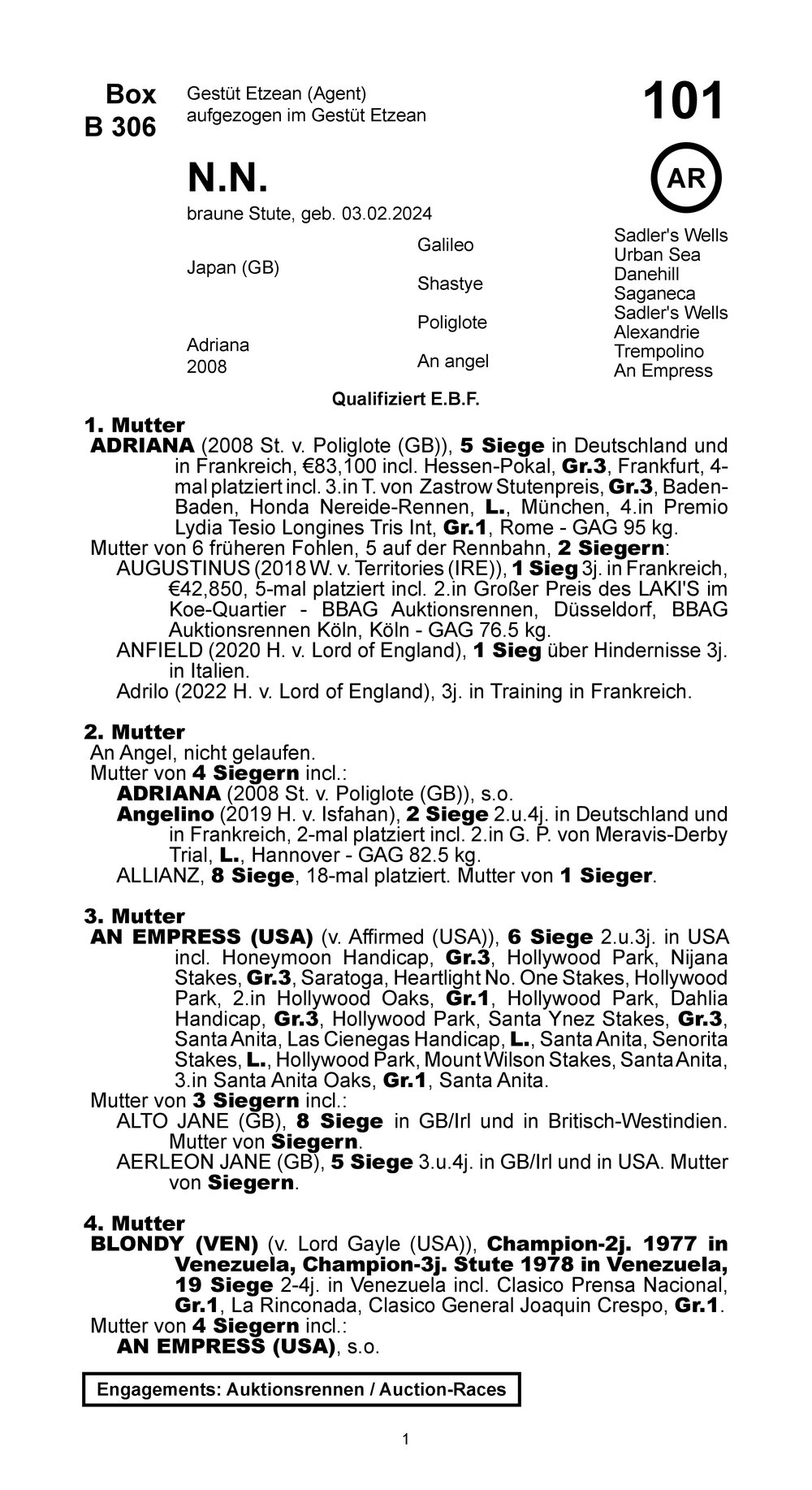 Pedigree pour N(ADRIANA 2024) (FRA), 2024
