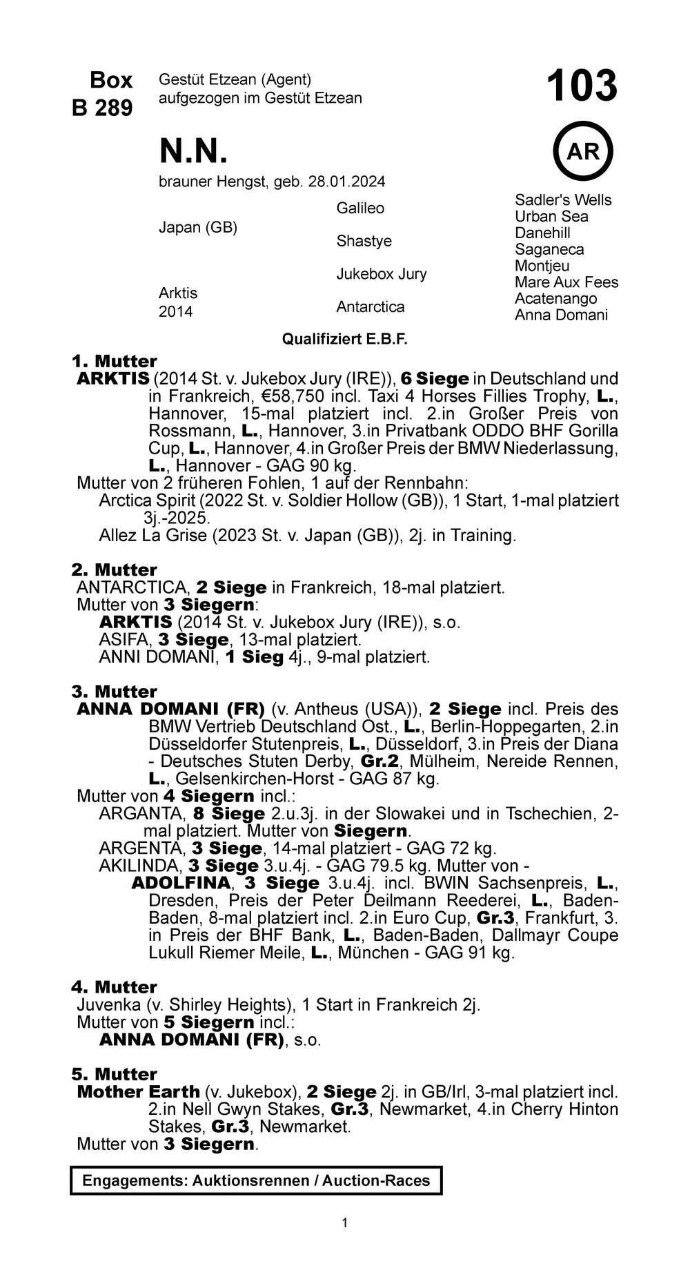 Pedigree pour Japan (GB) x Arktis (GER), 2024
