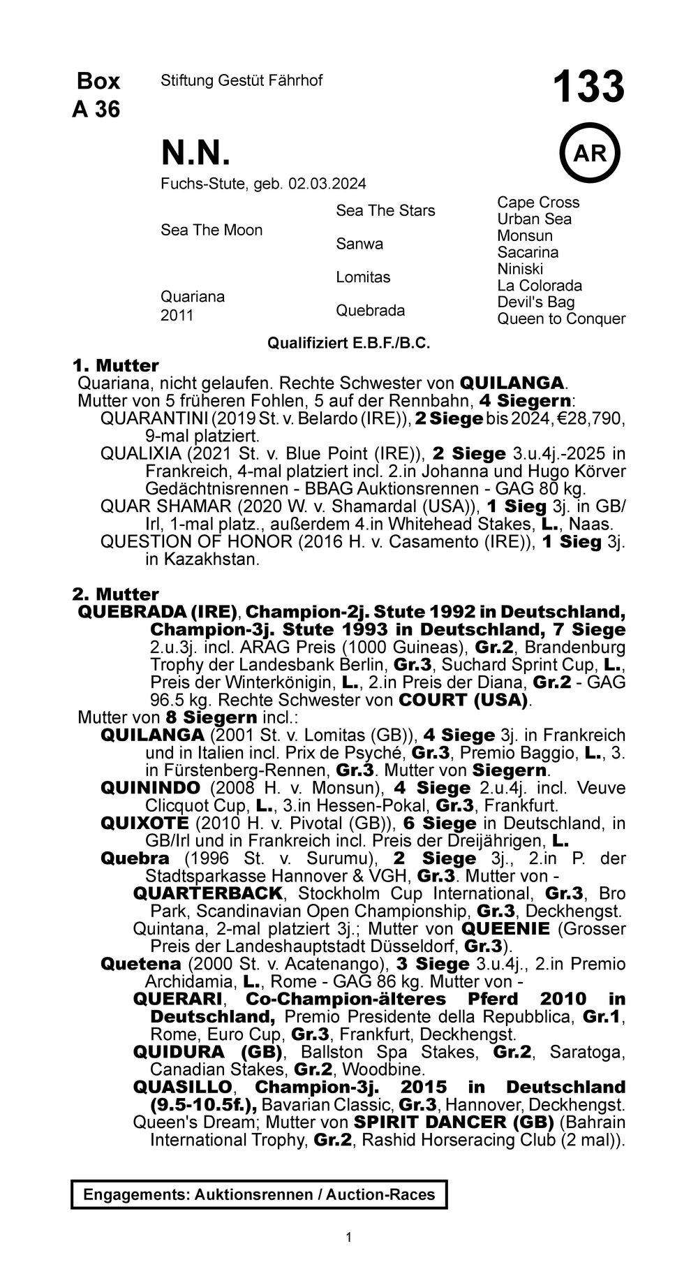 Pedigree pour Sea The Moon x Quariana (GER), 2024