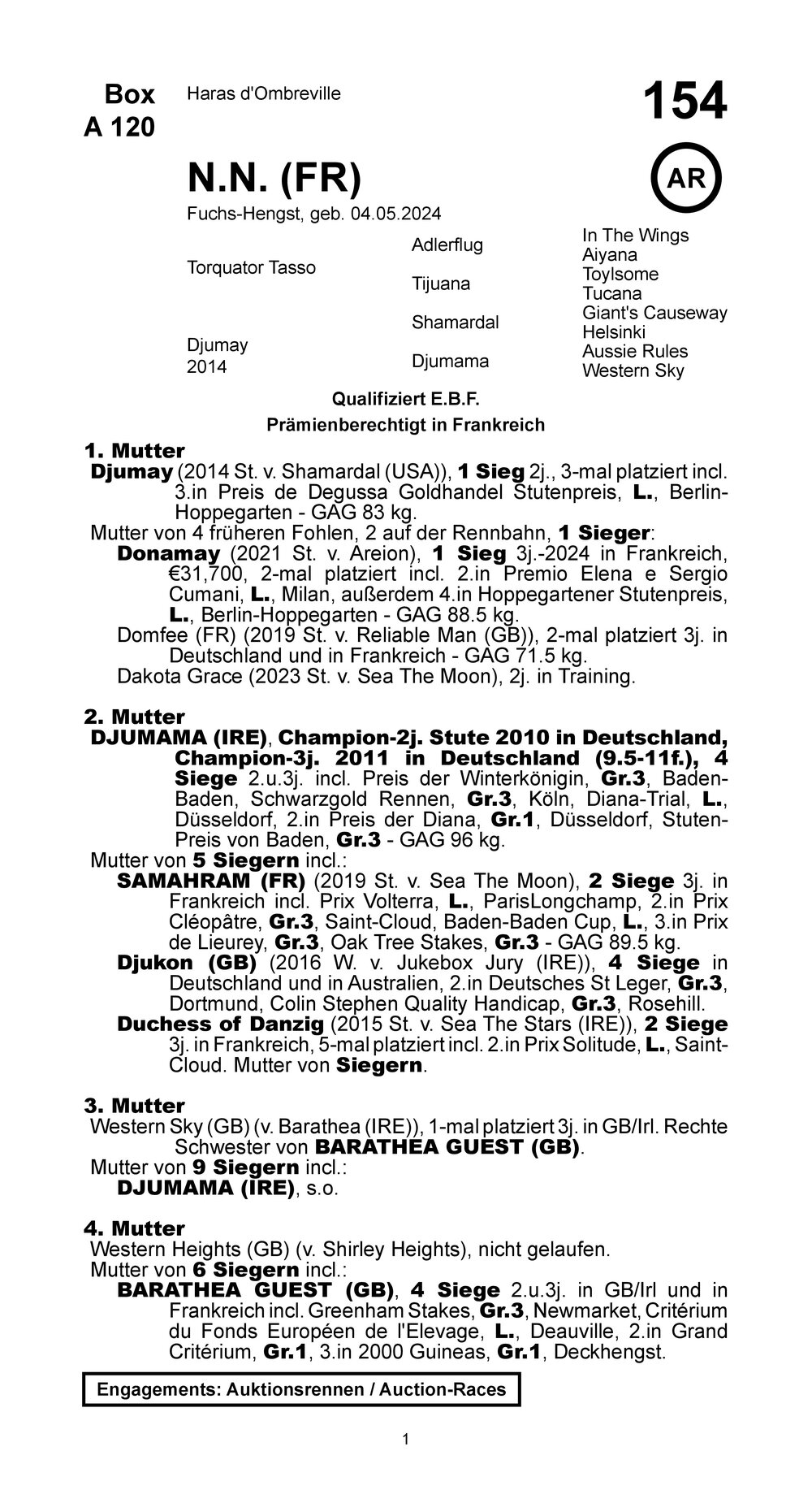 Pedigree for Torquator Tasso x Djumay (FRA), 2024