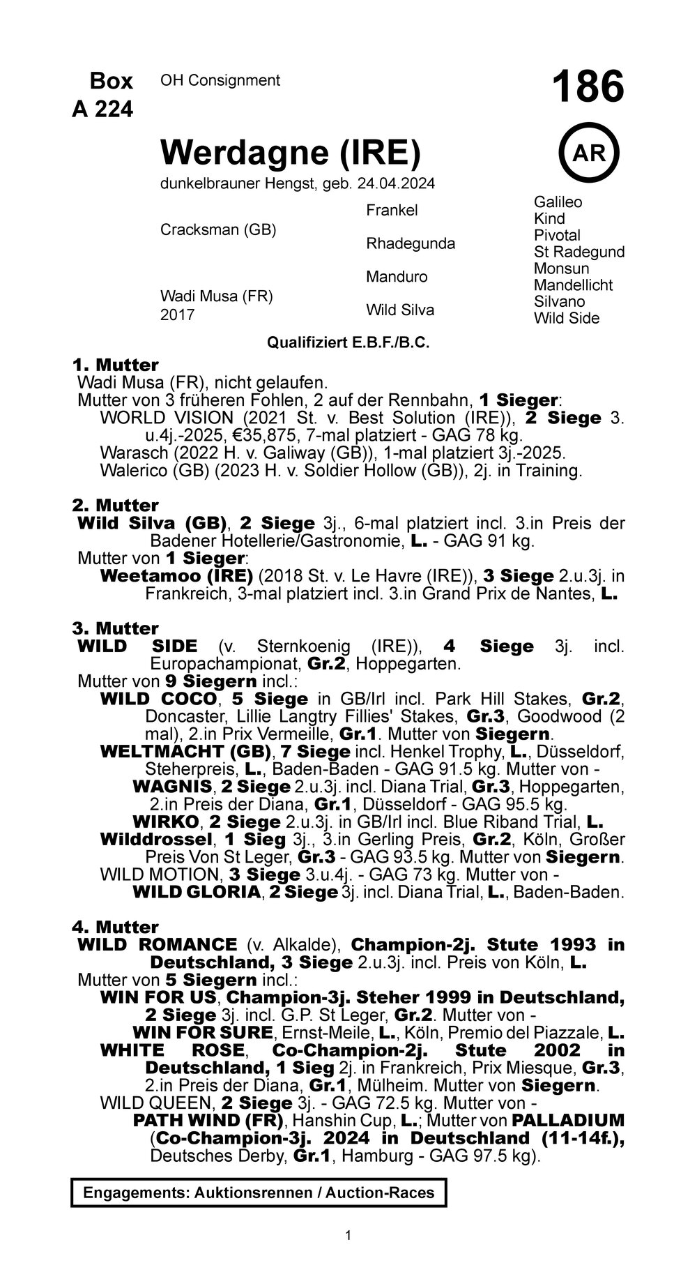 Pedigree for Werdagne (IRL), 2024