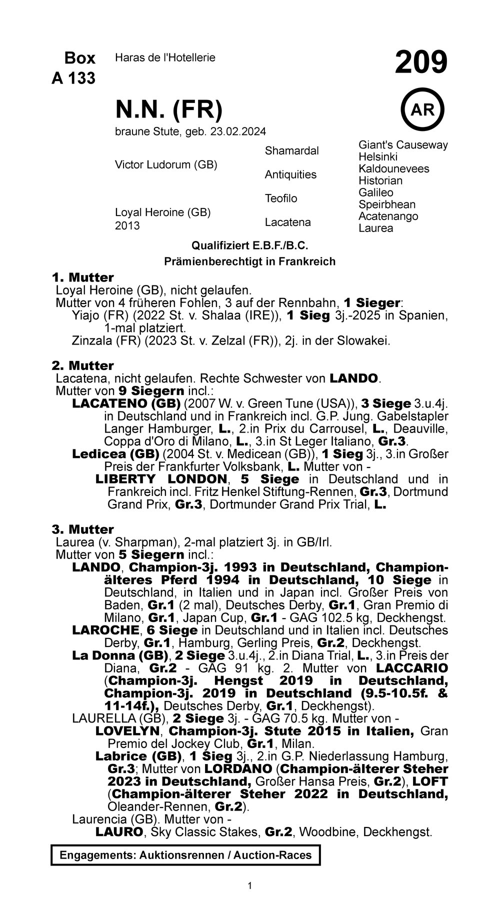 Pedigree pour Victor Ludorum (GB) x Loyal Heroine (GB) (FRA), 2024