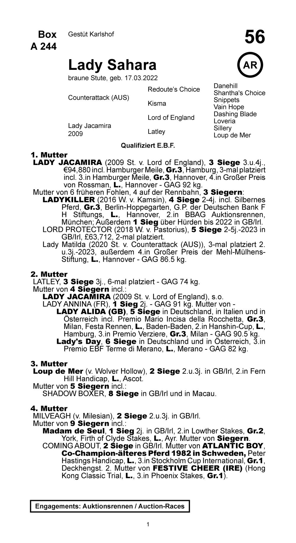 Pedigree for Lady Sahara (GER), 2022