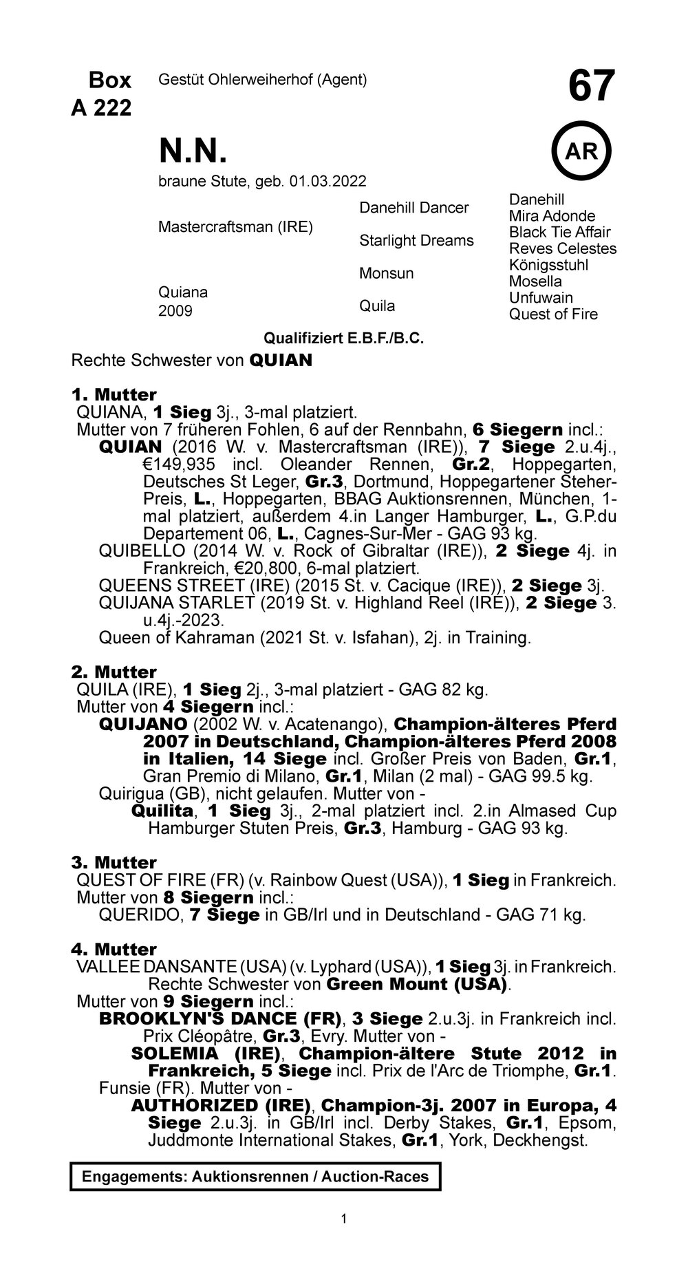 Pedigree for Que Bella (GER), 2022
