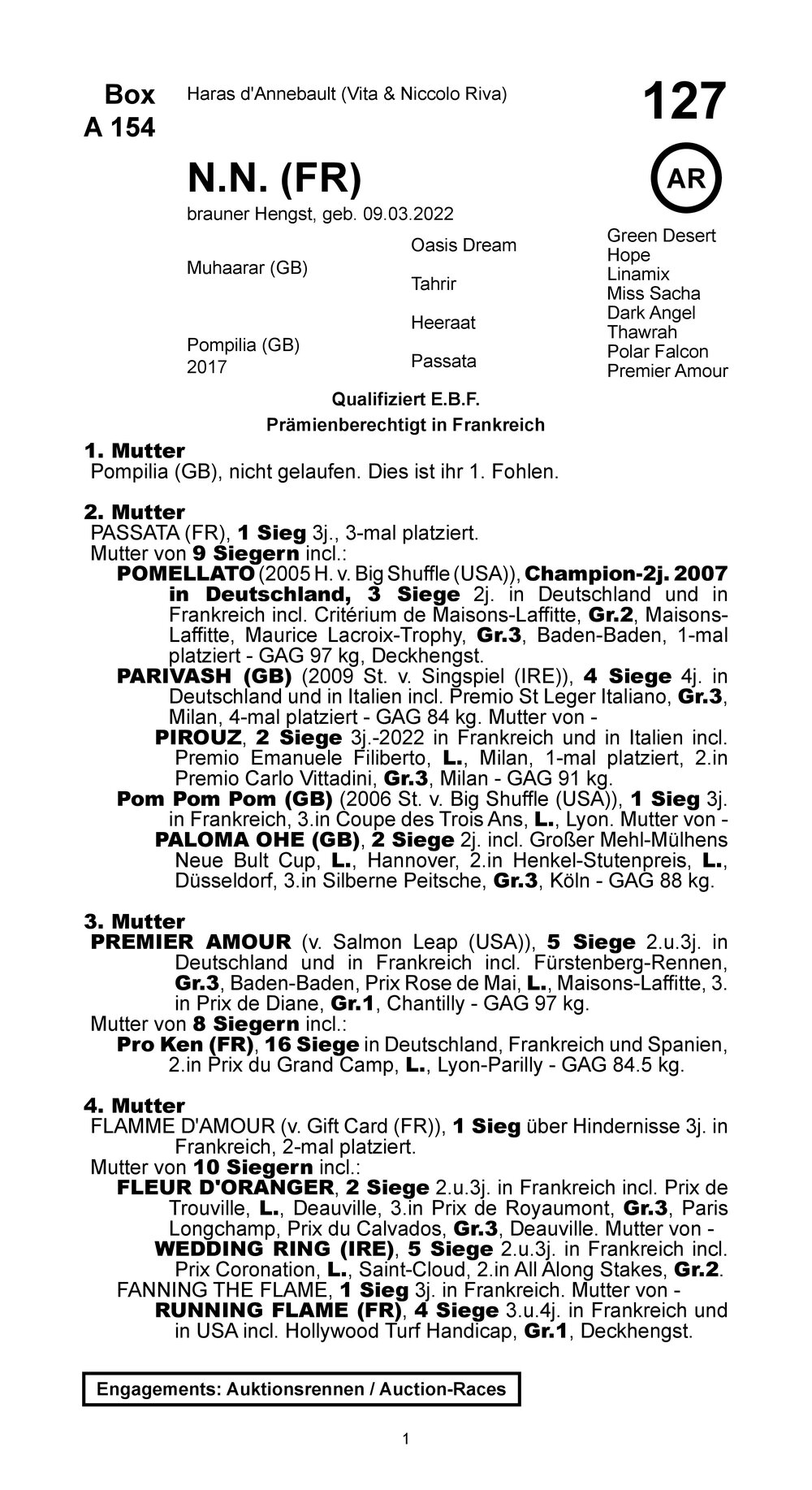 Pedigree for Pompeo Dream, 2022