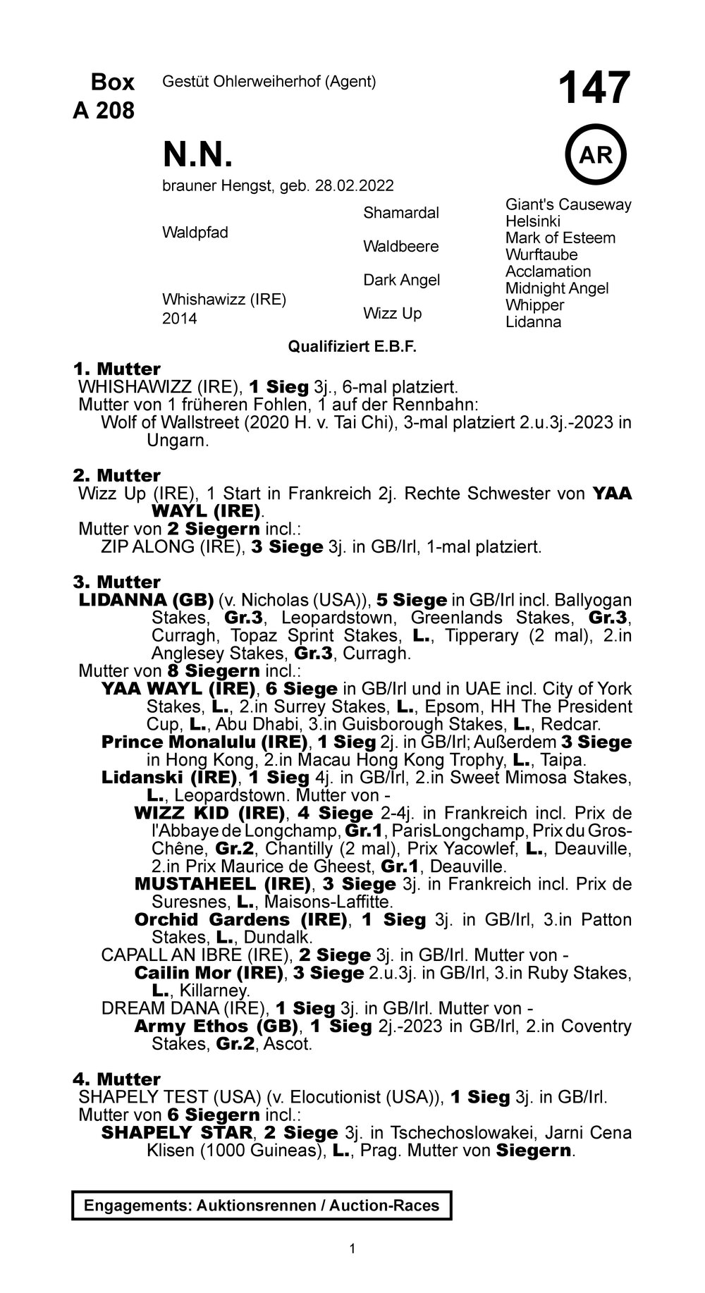 Pedigree for Wonder Boy (GER), 2022
