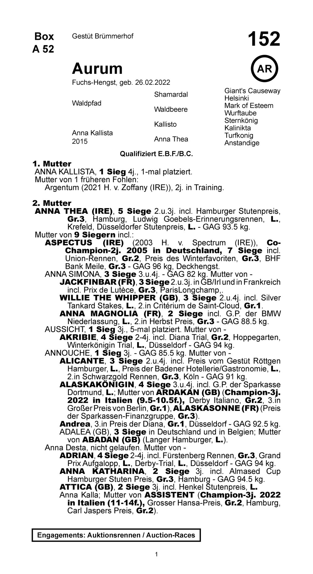 Pedigree pour Aurum (GER), 2022
