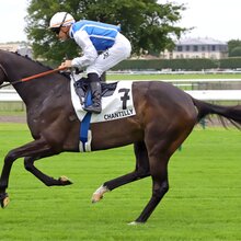 02.06.2024, Chantilly, Paris, FRA - junko with Maxime Guyon. Chantilly racecourse.  | © Sandra Scherning / Galoppfoto.de