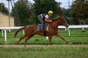 Tanami mit Saskia | © Rennstall Geisler