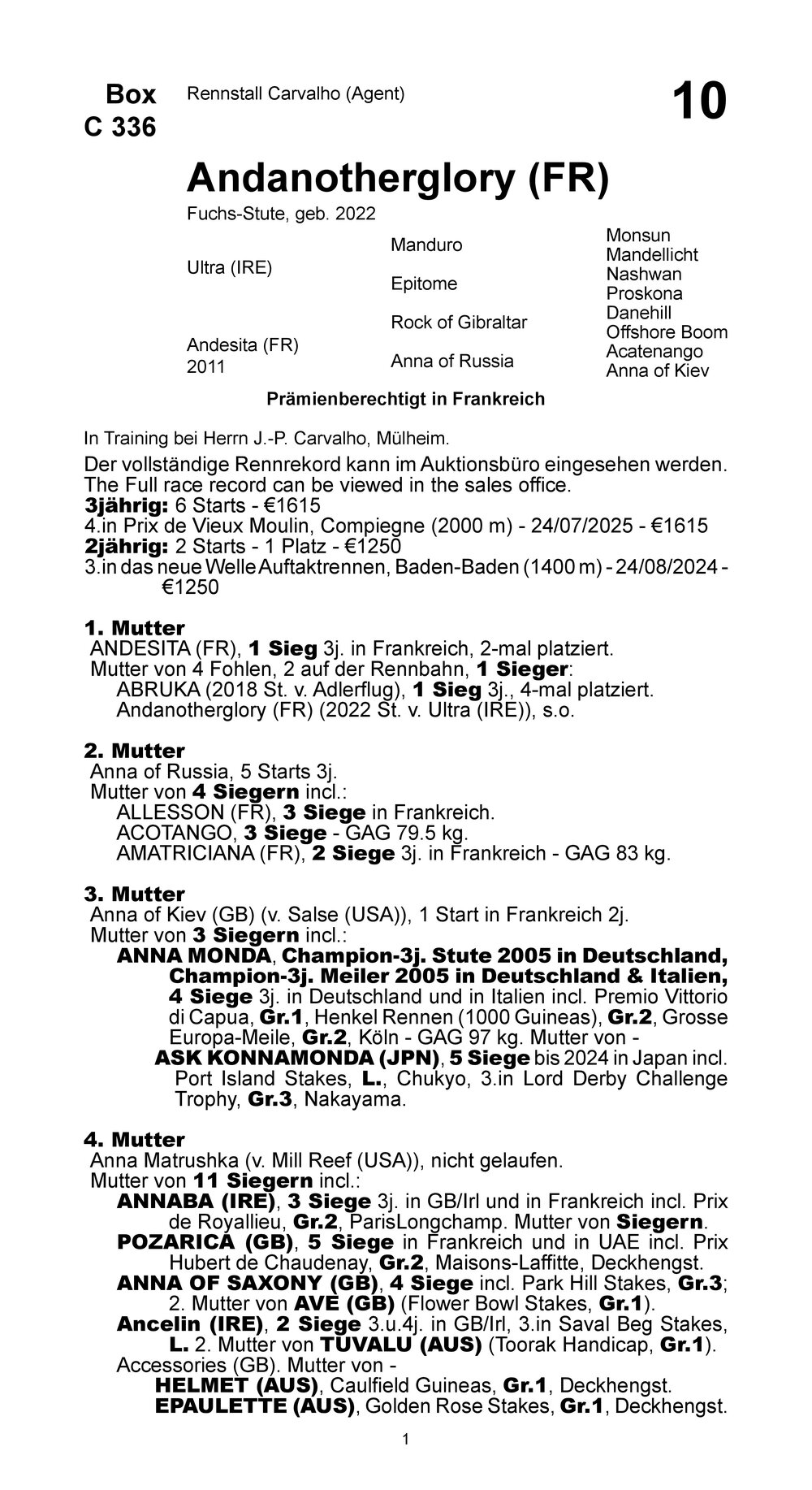 Stammbaum für Andanotherglory (FRA), 2022