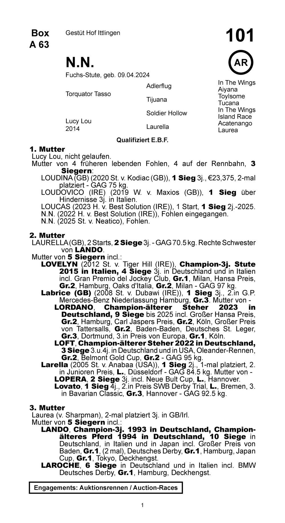 Pedigree pour CALYX  X LUCY LOU (IRE) (IRL), 2024