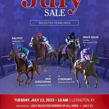 © FASIG TIPTON