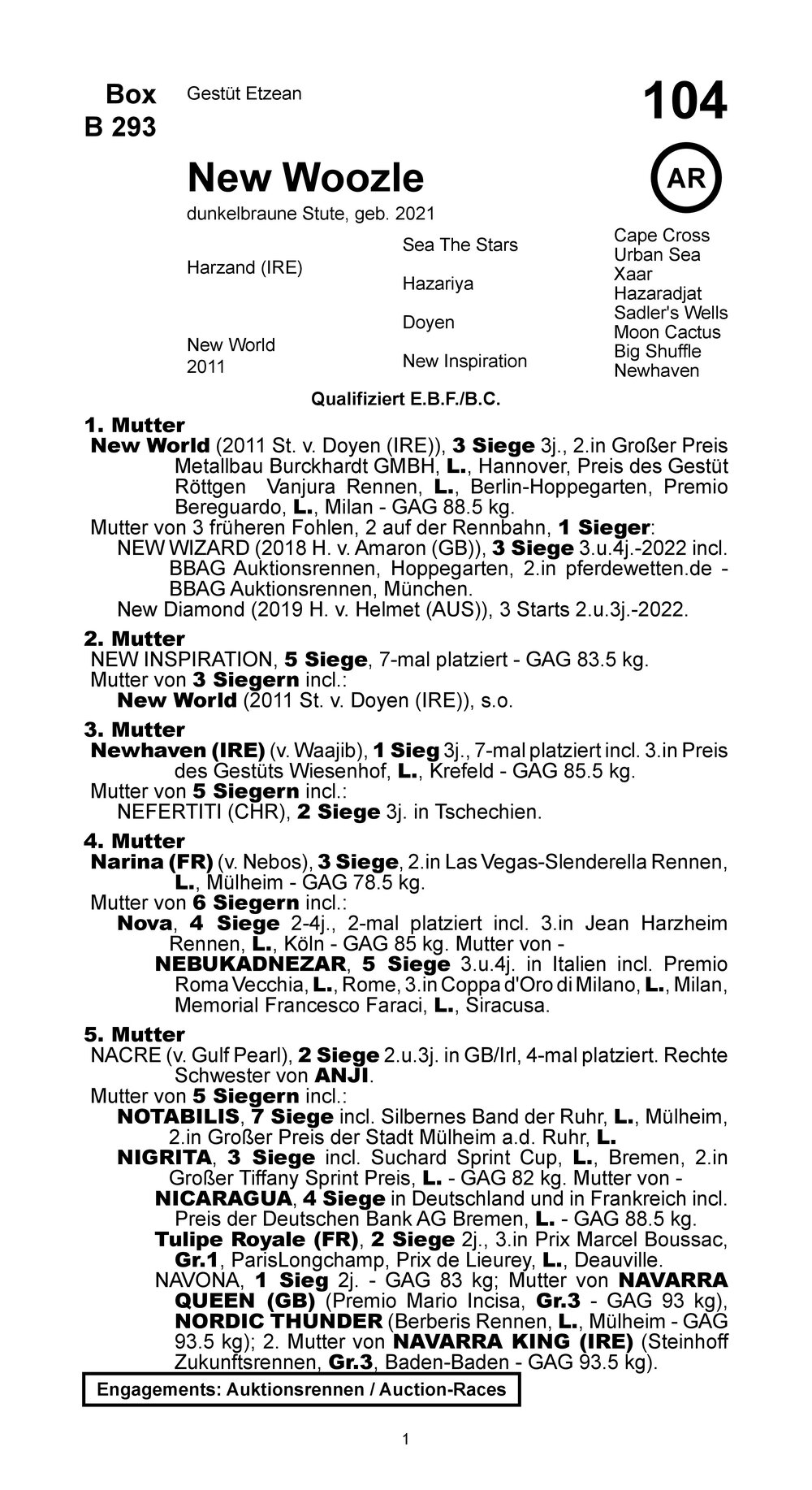 Pedigree for NEW STARLET (GER), 2021