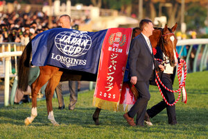 30.11.2025, Tokio, JPN - Portrait of Calandagan after winning the Japan Cup. Fuchu racecourse. | © Petr Guth / Galoppfoto.de