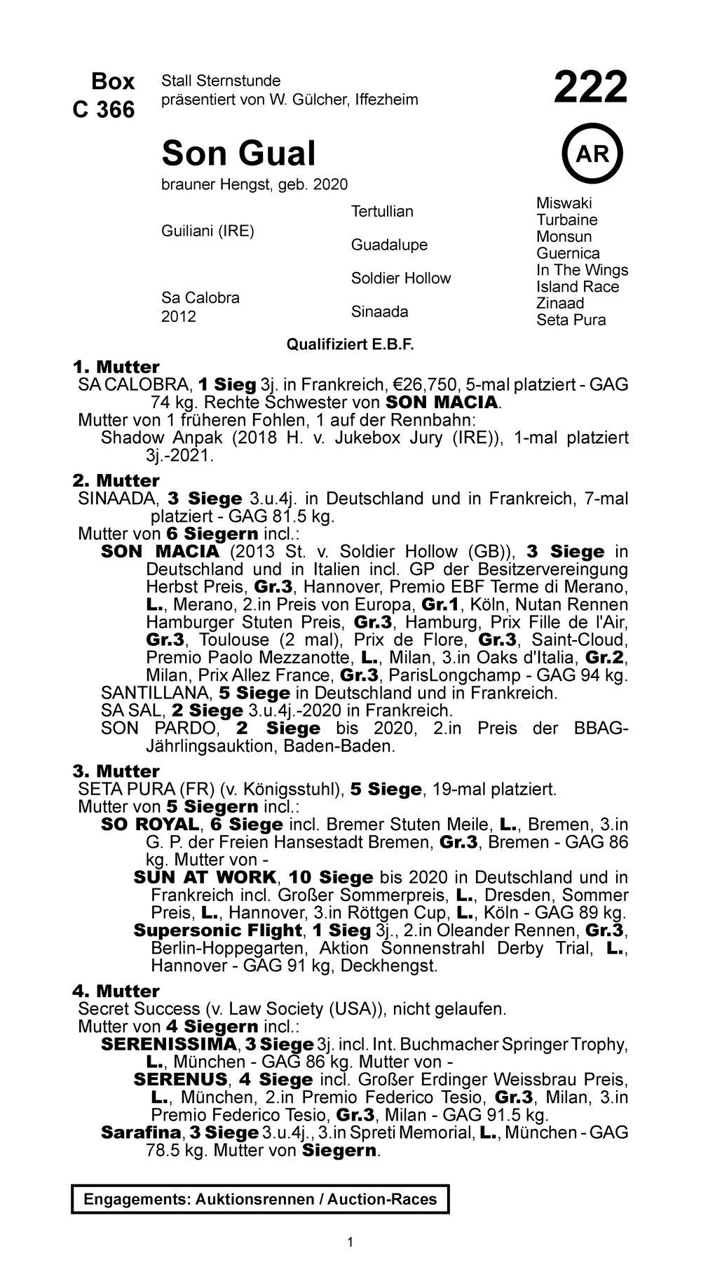 Pedigree for Son Gual (GER), 2020