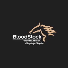 Photo de profil de B2 | © Bloodstock South Africa