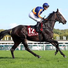 © galoppfoto.de © galoppfoto.de