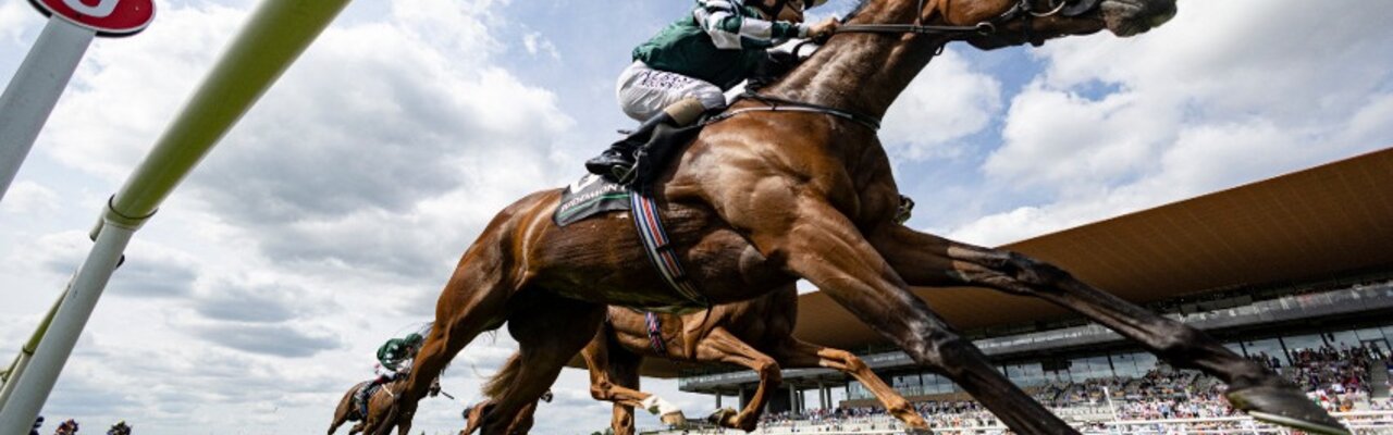 © Horse Racing Ireland