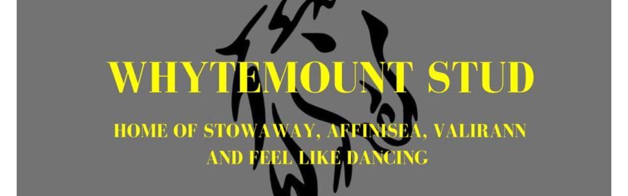 Profilbanner von Whytemount Stud