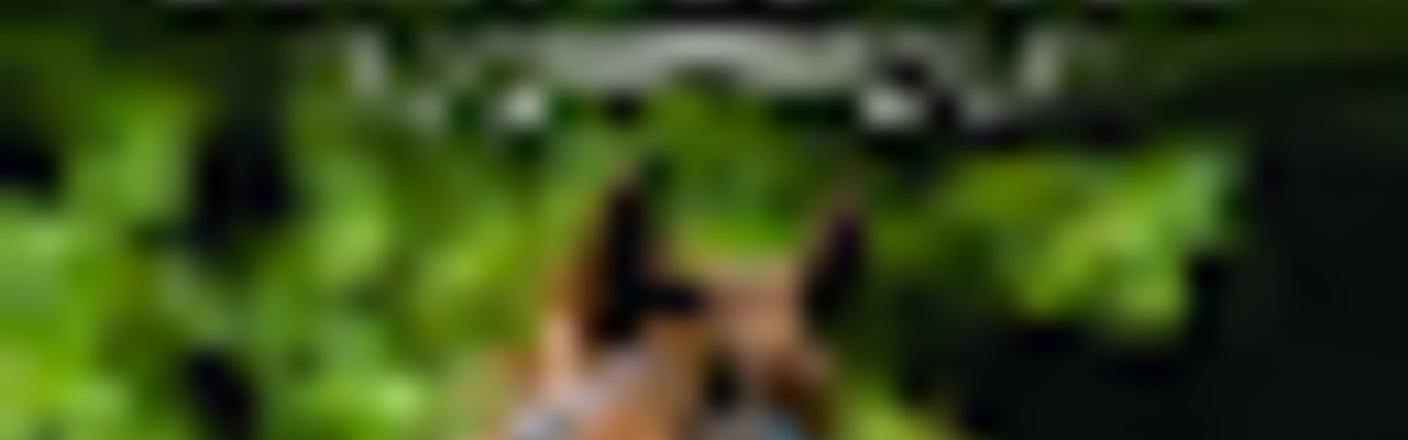 Profilbanner von Batsford Stud
